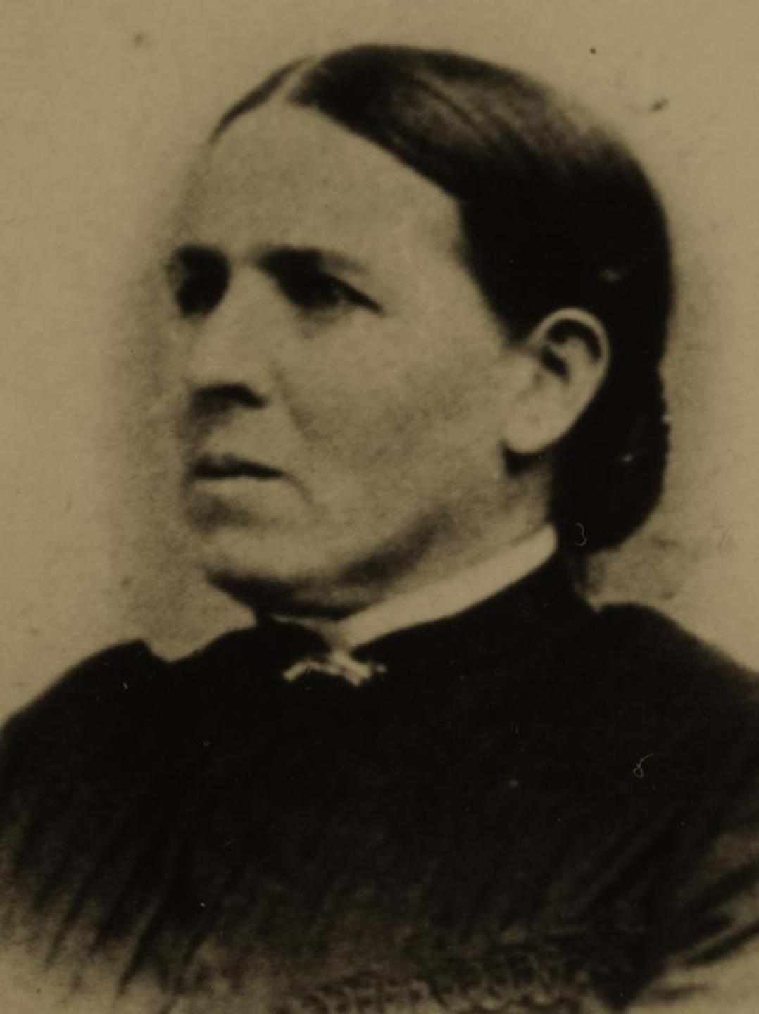 Mary Elizabeth Raymond (1847 - 1910) Profile